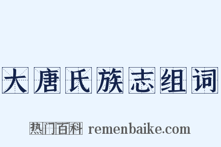 大唐氏族志组词是什么意思的图片